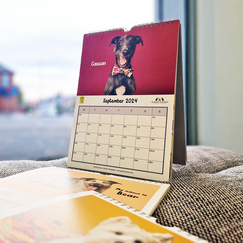 Official Pet Portrait Charity Calendar